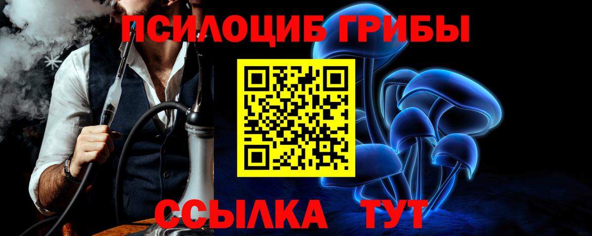 Галлюциногенные грибы Cubensis  Вход с VPN  закладка  Бугульма 